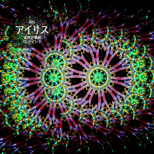 万華鏡】アイリス 10pt【オイルタイプ】 その他インテリア雑貨