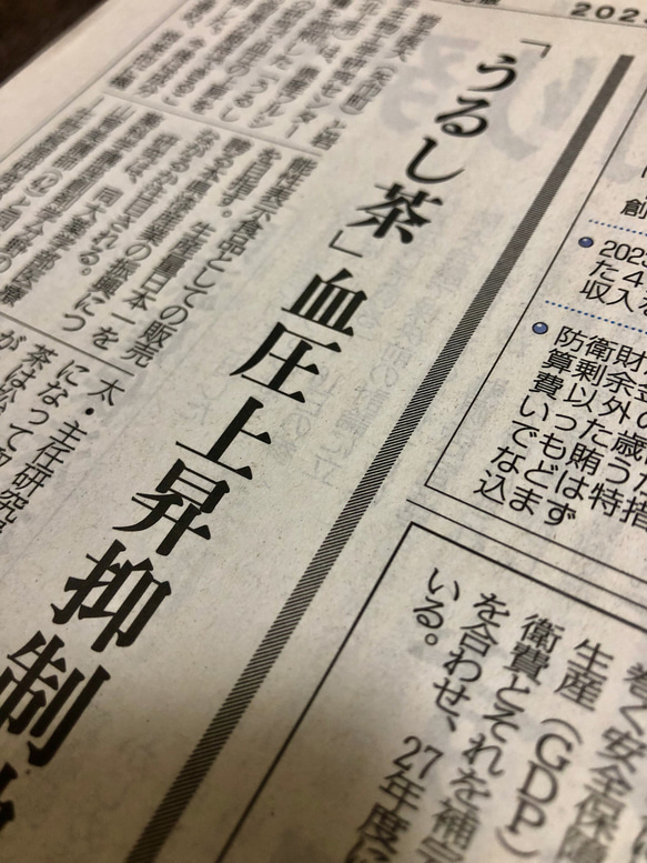 うるし茶　血圧抑制効果　ノンカフェイン　ティーバッグ10個入　独特の香ばしさと爽やかな風味　かぶれません 11枚目の画像