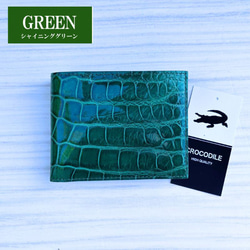 ☆ 実物撮影 ☆ ブライトグリーン クロコダイル スクエア 一枚革 二