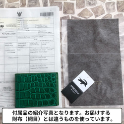 【rank 特S】【グリーン】シャイニング クロコダイル クロコ 財布 メンズ レディース 本物 二つ折り財布 11枚目の画像