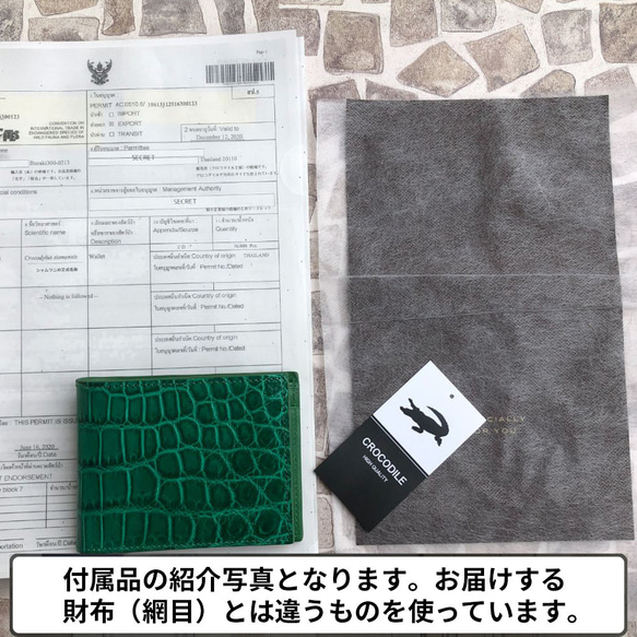 【rank 特S】【グリーン】シャイニング クロコダイル クロコ 財布 メンズ レディース 本物 二つ折り財布 11枚目の画像