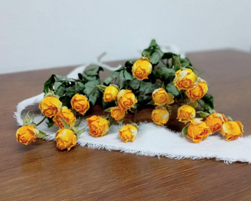 ドライフラワー スプレーバラ フレアー その他素材 Rose｡｡ 通販