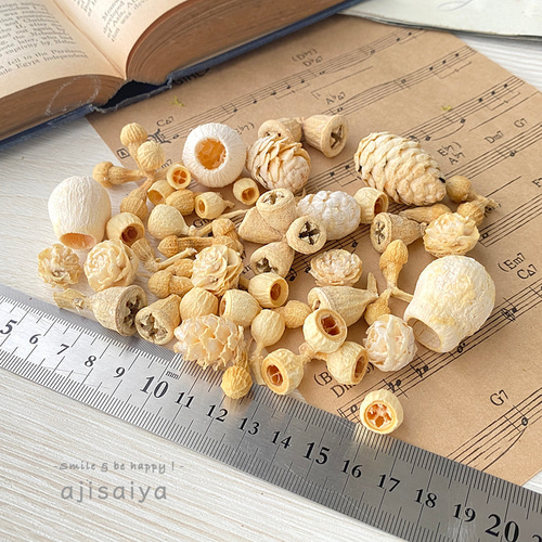 New 白い木の実いろいろセット その他素材 ちいさなあじさいや 通販