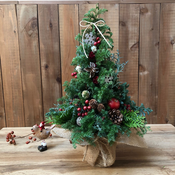 再販】本物のクリスマスツリー✳︎3種のエバーグリーン 卓上 40cm