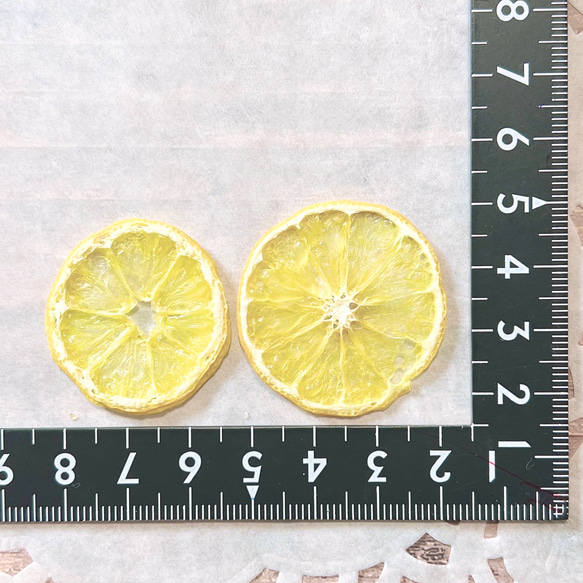小さい 黄金柑 湘南ゴールド 押しフルーツ 10枚 レモン オレンジ レジン キャンドル ドライフルーツ 2枚目の画像