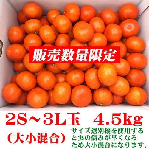 小原紅早生 みかん 約4.5kg 2S～3L玉 送料無料 お年賀 ギフト 香川産