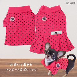 お揃いで着れるワンピース＆ポロシャツ ドット ピンク 水玉 犬服 猫服 ペット 小型犬 P7 P8 1枚目の画像