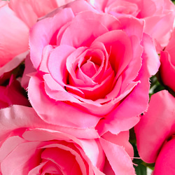 no52　３本組薔薇、鮮やかなピンク、アーティフィシャルフラワー,ウェディング,フラワーアレンジメント用 7枚目の画像