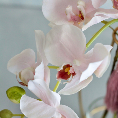 東京堂 アーティフィシャルフラワー 胡蝶蘭 紫陽花 マム ベリー ダリア