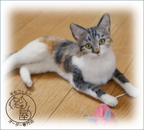 【うちの子オーダー】羊毛ﾌｪﾙﾄ 愛猫 愛犬 ｵｰﾀﾞｰﾒｲﾄﾞ ﾍﾟｯﾄ ﾁﾜﾜ ｽｺﾃｨｯｼｭ ﾐﾆﾁｭｱﾀﾞｯｸｽ 7枚目の画像