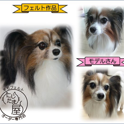 うちの子オーダー】羊毛ﾌｪﾙﾄ 愛猫 愛犬 ｵｰﾀﾞｰﾒｲﾄﾞ ﾍﾟｯﾄ ﾁﾜﾜ