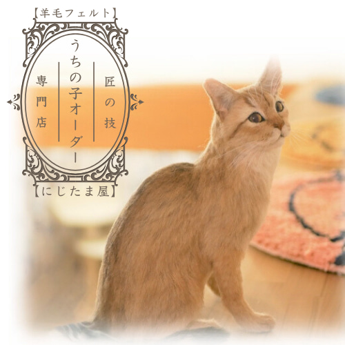 うちの子オーダー】羊毛ﾌｪﾙﾄ 愛猫 愛犬 ｵｰﾀﾞｰﾒｲﾄﾞ ﾍﾟｯﾄ ﾁﾜﾜ