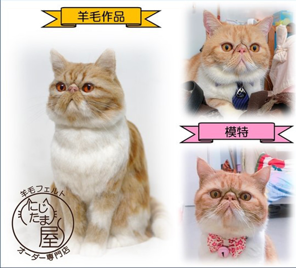 【うちの子オーダー】羊毛ﾌｪﾙﾄ 愛猫 愛犬 ｵｰﾀﾞｰﾒｲﾄﾞ ﾍﾟｯﾄ ﾁﾜﾜ ｽｺﾃｨｯｼｭ ﾐﾆﾁｭｱﾀﾞｯｸｽ 18枚目の画像