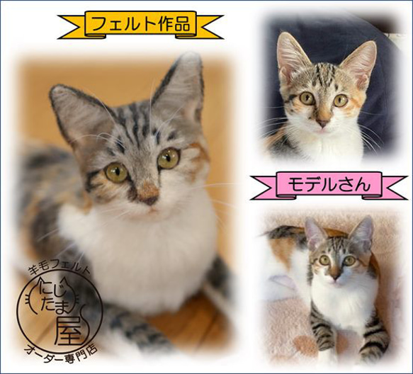 【うちの子オーダー】羊毛ﾌｪﾙﾄ 愛猫 愛犬 ｵｰﾀﾞｰﾒｲﾄﾞ ﾍﾟｯﾄ ﾁﾜﾜ ｽｺﾃｨｯｼｭ ﾐﾆﾁｭｱﾀﾞｯｸｽ 8枚目の画像