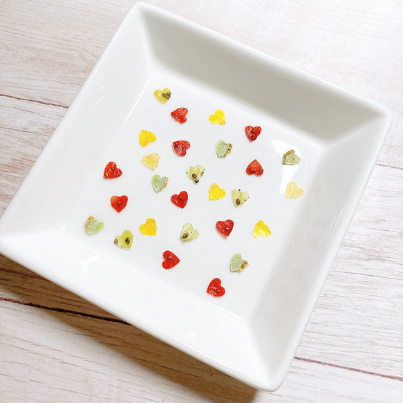 押しフルーツ＊オーダーページ ＊皮 1/2