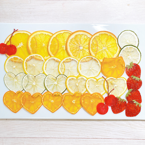 押しフルーツ＊オーダーページ ＊皮 1/2