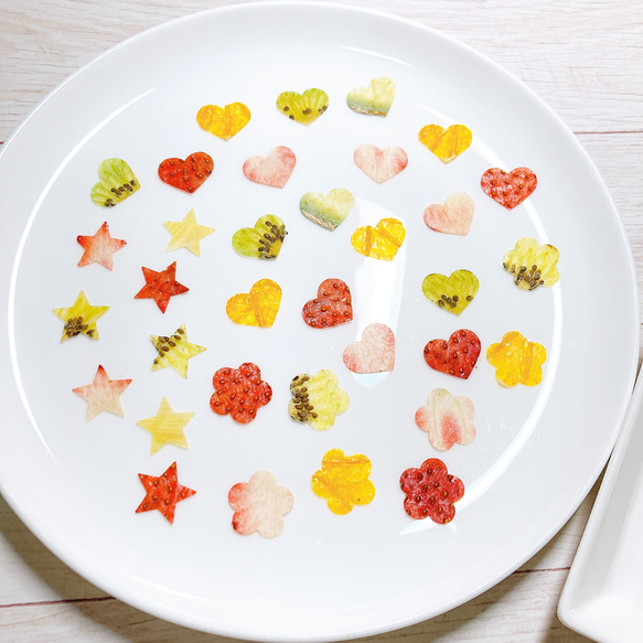 押しフルーツ＊オーダーページ ＊皮 1/2