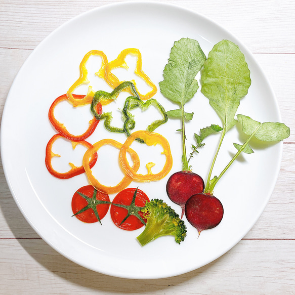 押しフルーツ＊オーダーページ ＊皮 1/2