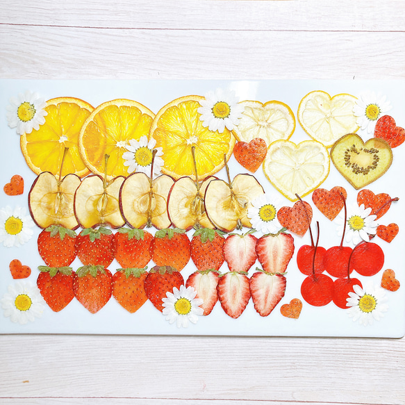 押しフルーツ＊オーダーページ ＊皮 1/2