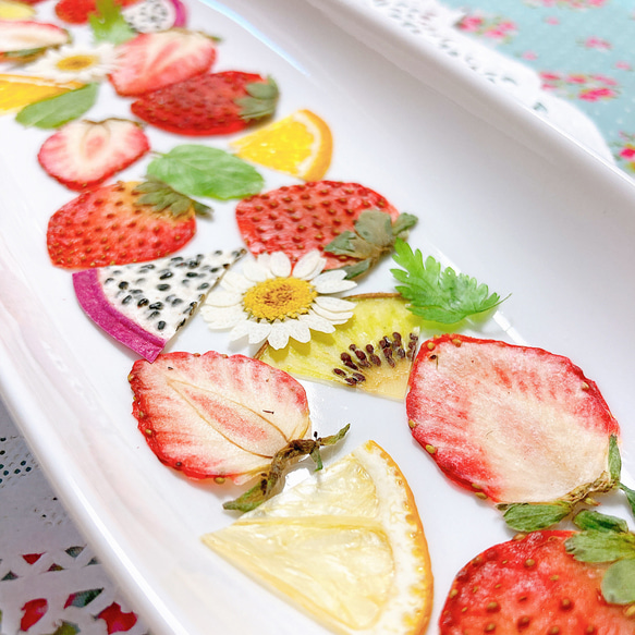 押しフルーツ＊オーダーページ ＊皮 1/2