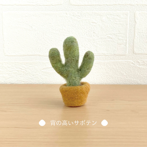 羊毛フェルト サボテン インテリア 500x0.jpg