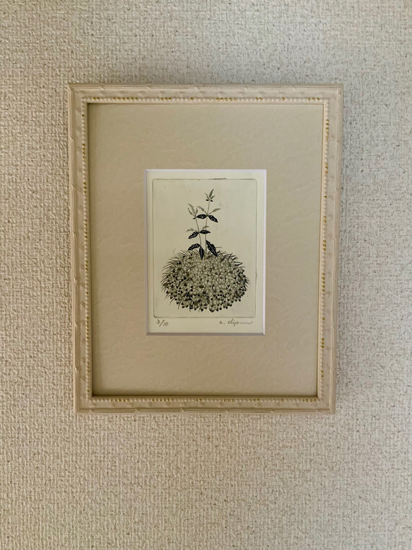 二人草】 銅版画額装 絵画 atelier clip 通販 10744111｜Creema(クリーマ)