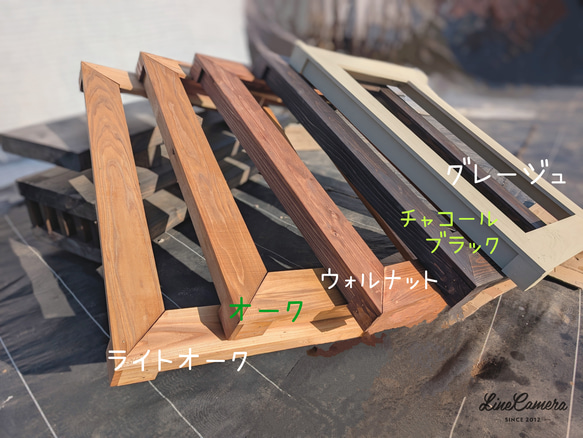 20㍑タイプ ビオトープ メダカ・金魚 他 飼育セット トロ舟カバー トロ