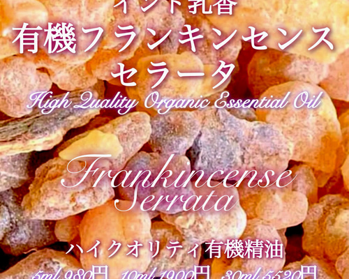 フランキンセンス精油/Frankincense – 生活の木 オンラインストア