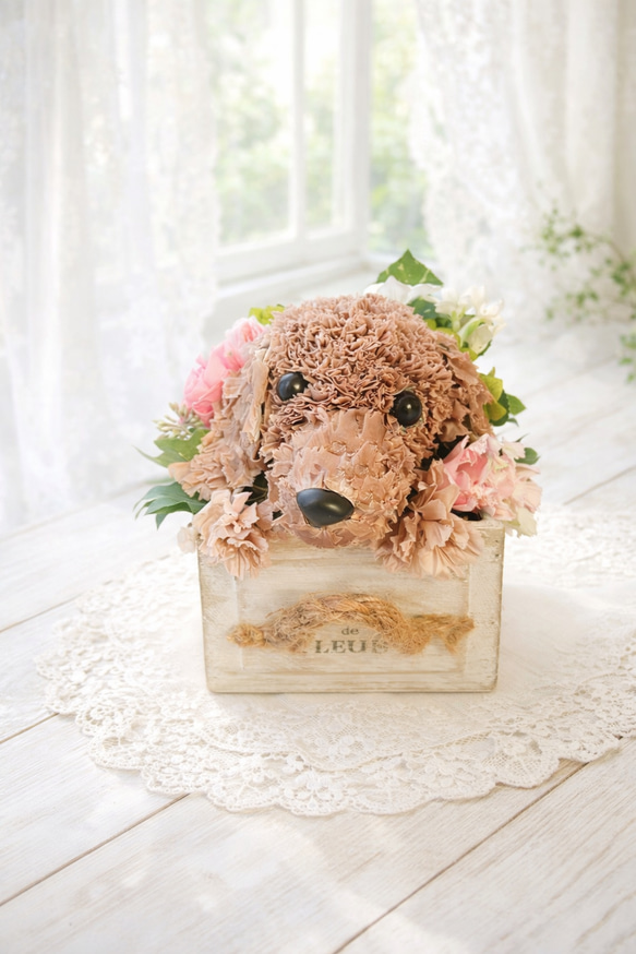 送料無料】カーネーションの犬 ダックス【レギュラーサイズ】フラワー