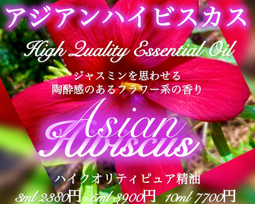 国内在庫即納！特価sale◆Sun Bali◆ハイビスカスフラワーリーフ 花 ギフト 夏 プレゼント インドア ハイビスカス サニーシリーズ