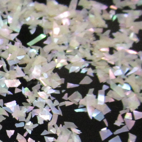 螺鈿（らでん）工芸 あわび 青貝粉小（薄貝の破片）4グラム