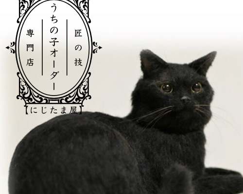 ねこ　オーダーウイッグ うたげさん🐈 ＊ オーダー猫さん・No.72 凛々しいお顔立ちの
