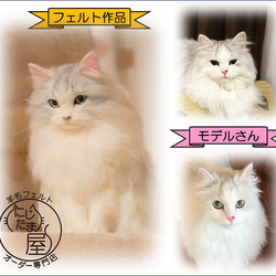 ウチの子そっくりオーダーメイド！ 羊毛フェルト  猫 犬 オーダー ぬいぐるみ ﾁﾜﾜ ﾀﾞｯｸｽ ｺｰｷﾞｰ 18枚目の画像