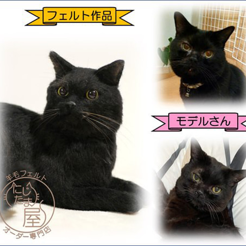 ウチの子そっくりオーダーメイド！ 羊毛フェルト 猫 犬 オーダー