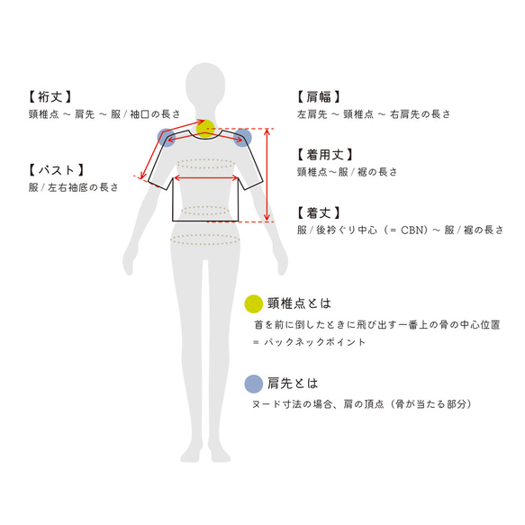  第11張的照片