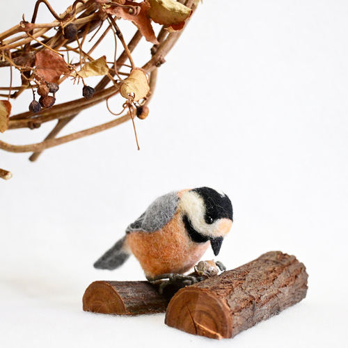 羊毛フェルト　野鳥　ダチョウカップル　ブラウニー 羊毛フェルト 野鳥 シロハラクイナ ヤマゲラ ブラウニー様専用 - メルカリ