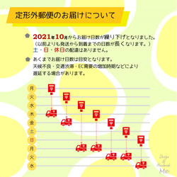 【3日以内発送】 レッスンバッグ【薔薇】通園バッグ 通学バッグ 入園グッズ 入学グッズ 北欧風 9枚目の画像