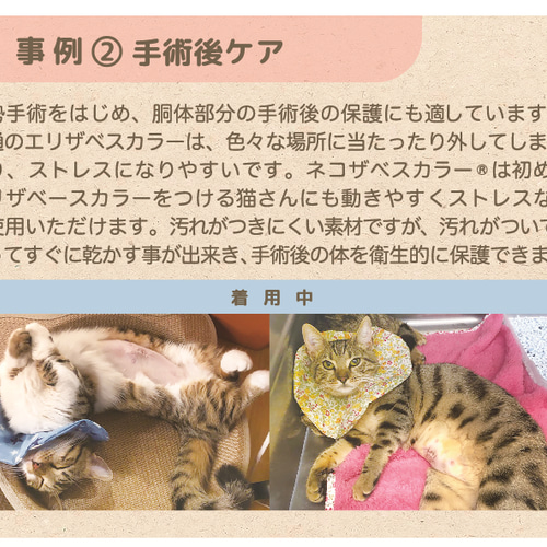 超ソフト【ネコザベスカラー】Mサイズ エリザベスカラー 猫 防水