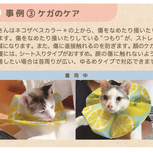 12月誕生石】猫ちゃんリング｜天然石 ラピスラズリ | ジュエリー春日