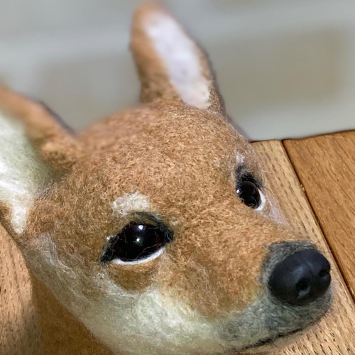 リアル羊毛フェルト 【プレーリードッグ】実物大サイズ
