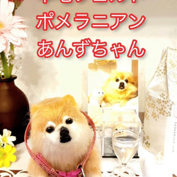 リアル羊毛フェルト　【プレーリードッグ】実物大サイズ リアル羊毛フェルト 【プレーリードッグ】実物大サイズ