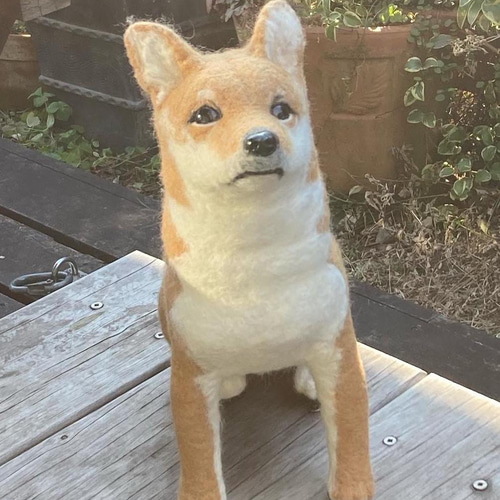 BIG羊毛フェルト リアルサイズ 羊毛フェルト 犬 170cmまで