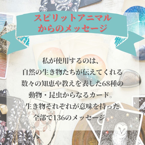 ご購入者さま限定【オラクルカードリーディング】生き物たちからのメッセージについて 4枚目の画像