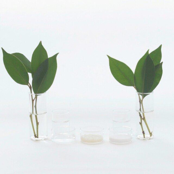 - 神の棚 - ＆ 神具set - 光 - 神の棚 神具set 台＆ふた のセットです 榊立て