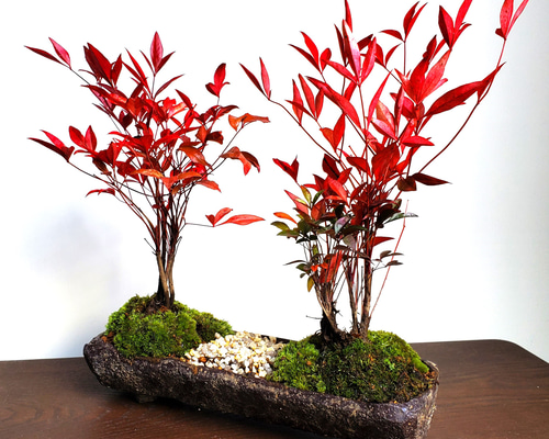 fc565de0fbd4819aa7167b6516c6a8