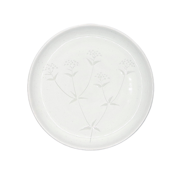 20cm丸皿（白彫りオミナエシ） 1枚目の画像