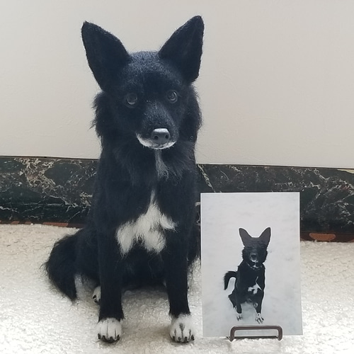 羊毛フェルト オーダーメイド サイズ25㎝ メモリアル ペットロス 羊毛フェルト オーダーメイド サイズ25㎝ メモリアル ペットロス