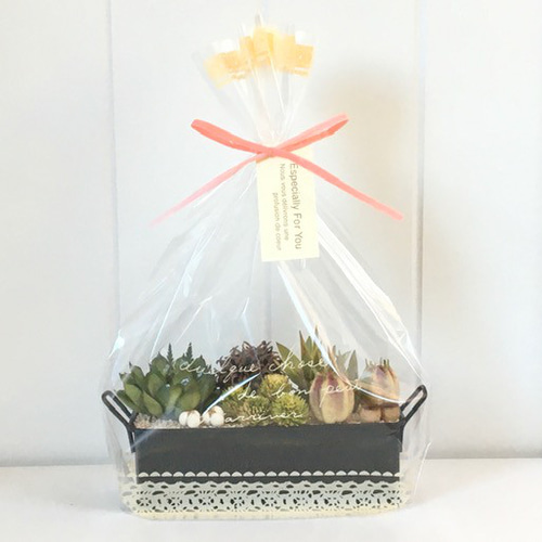 多肉植物のアレンジメント *ドライフラワー*プリザーブド 多肉植物のアレンジメント *ドライフラワー*プリザーブド