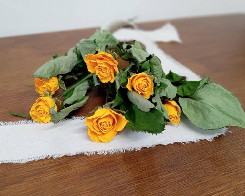 スタンダードバラ❇️ミックスカラー❣️ドライフラワー フラワー