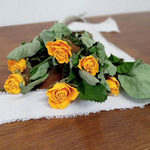 ドライフラワー スタンダードバラ ダークレッド サムライ7本set ドライ